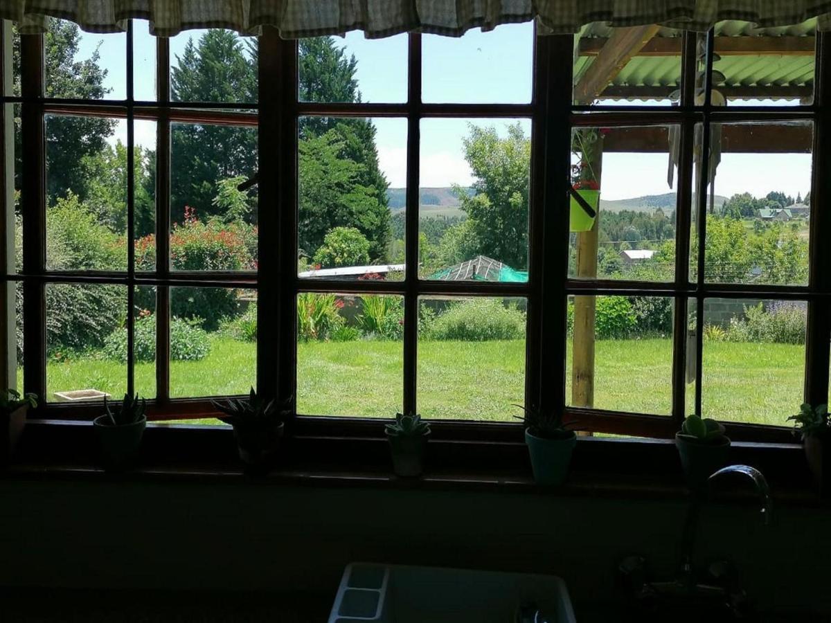 Cicada Self Catering *